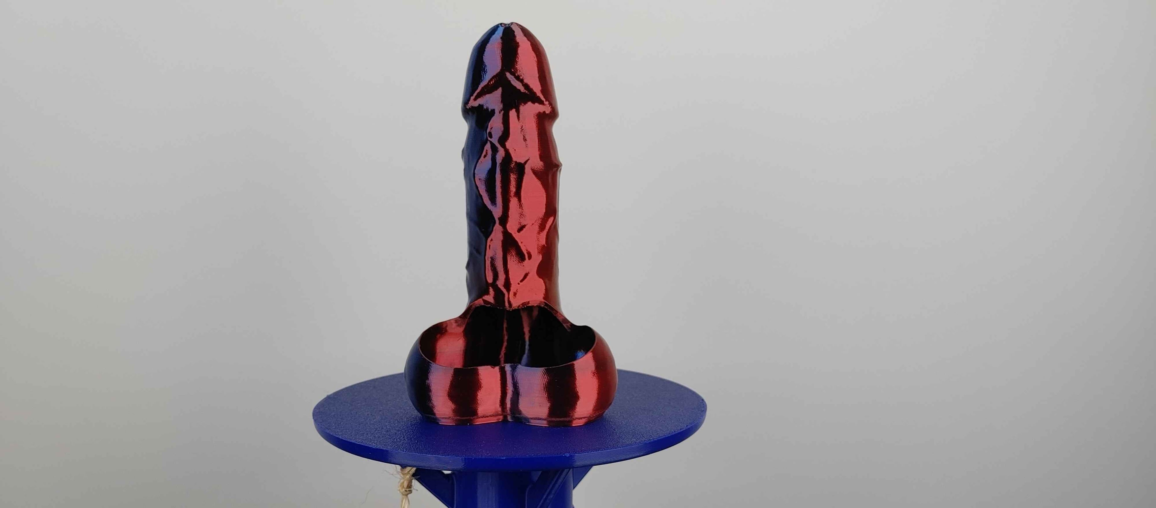 Anatomically Correct Penis and Vulva Planters With Drain Hole 3d model