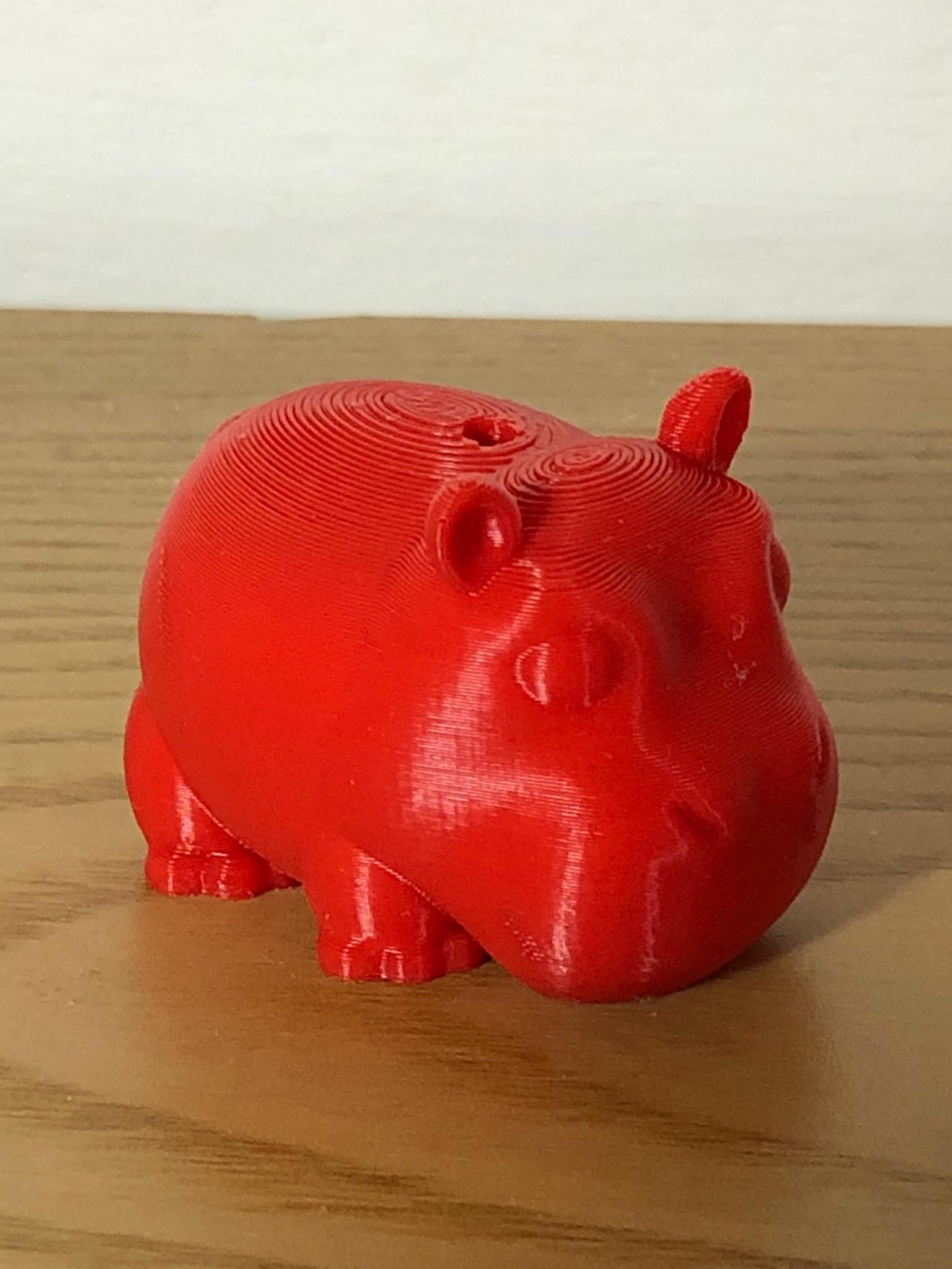 A Hippopotamus for Christmas 3d model
