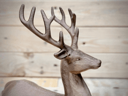 Stag Decor 3d model