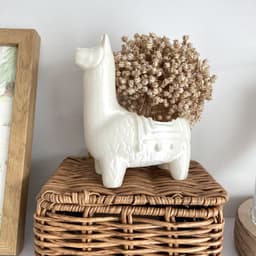 Cute Llama / Alpaca Planter / Figurine 3d model