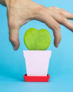 Flatland // Classic Pot Small 3d model