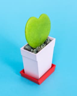 Flatland // Classic Pot Small 3d model