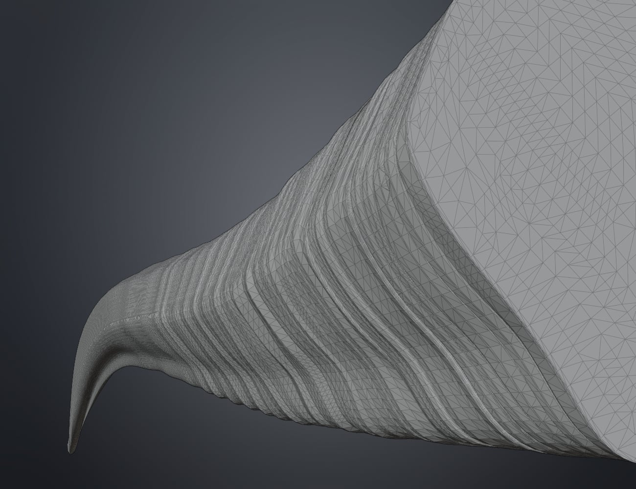 Oribi horns 3d model