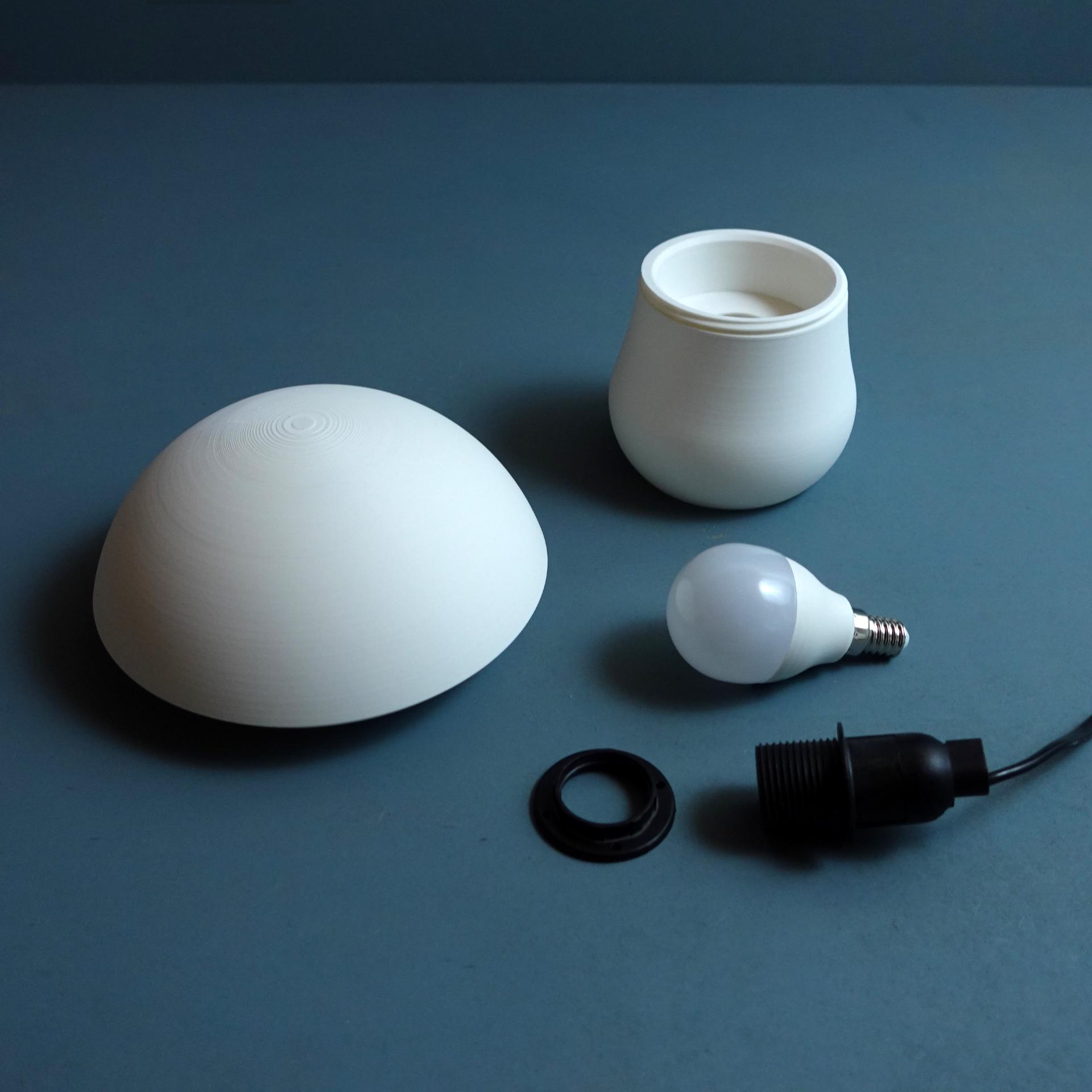 Table lamp “Edulis Fungus” parametric 3d model