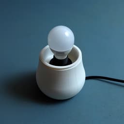 Mushroom lamp “Boletus Edulis” parametric 3d model