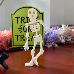 Flexi Articulated Skeleton - Fun Halloween Decoration 3d model