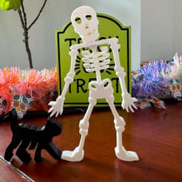 Flexi Articulated Skeleton - Fun Halloween Decoration 3d model
