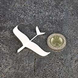Dove Glider Tiniest Printable Airplane 3d model