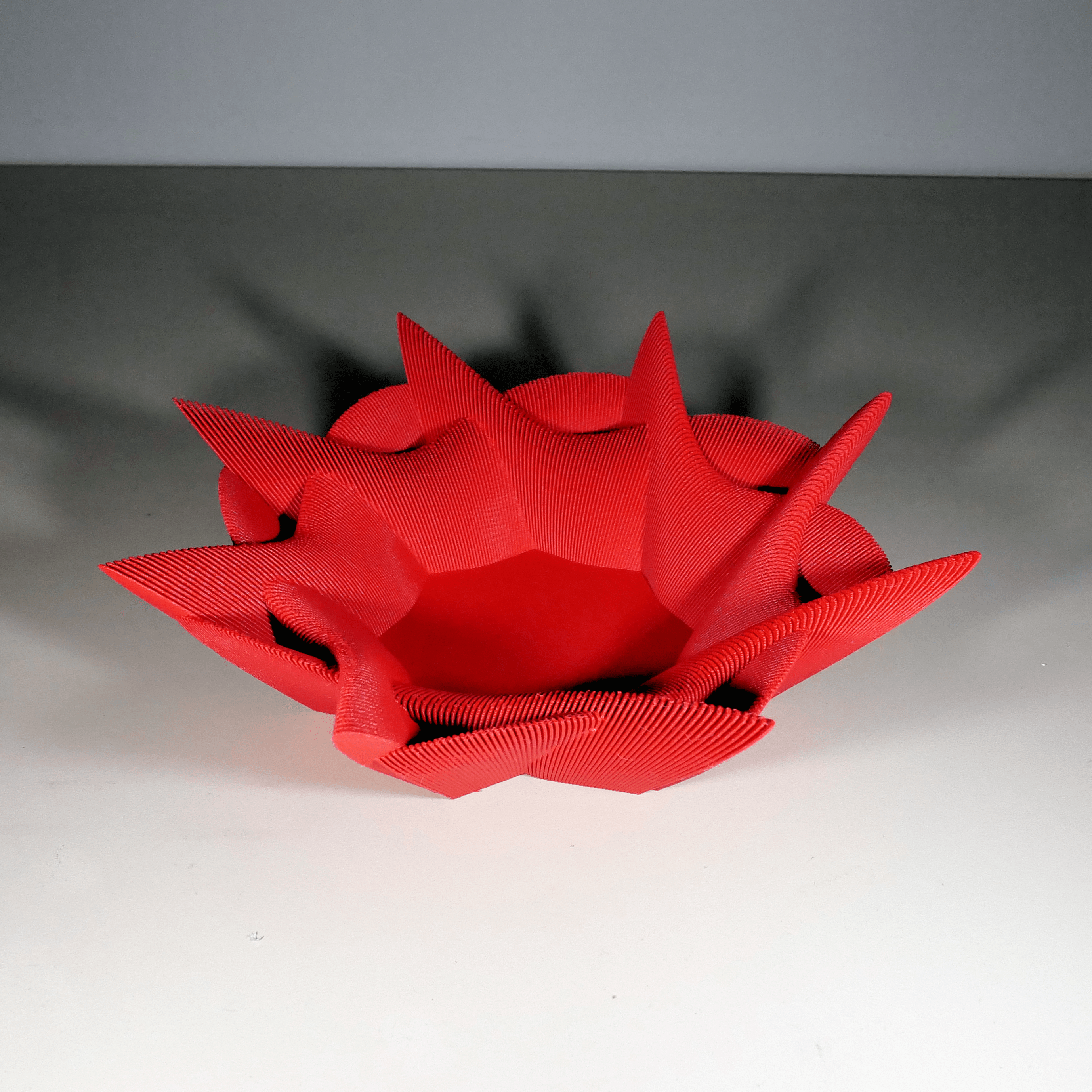 Echo Bowl 3d model