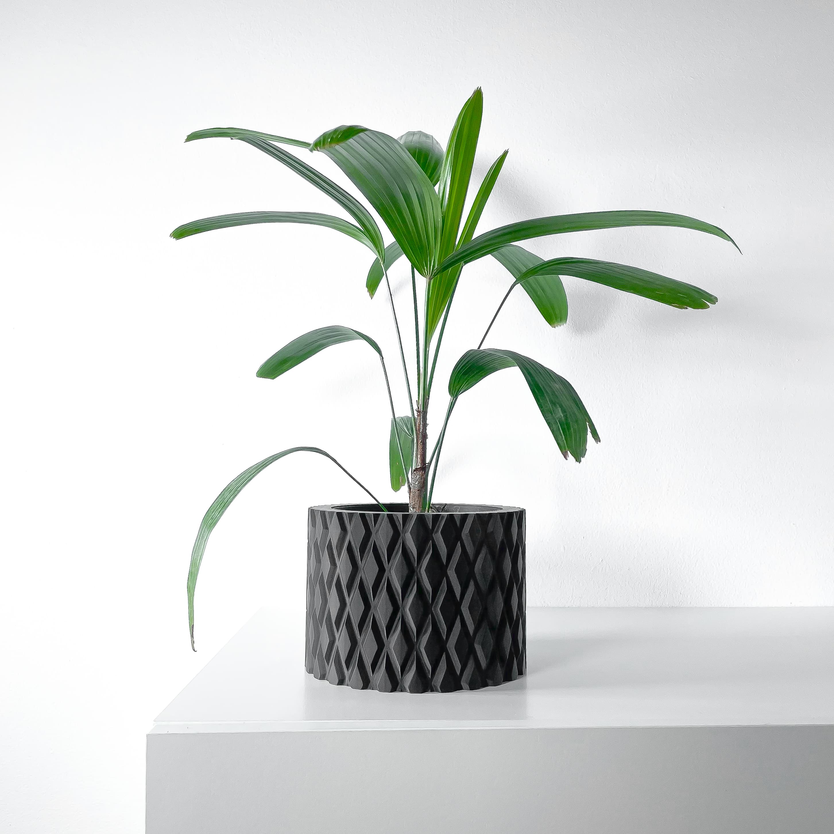 The Pexil Planter Pot with Drainage Tray & Stand Included | Modern and Unique Home Decor 3d model