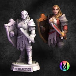Female Warrior - Teagan the Human Fighter (Female Fighter with sword and shield ) 3d model