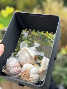 Garlic Keeper 3d model