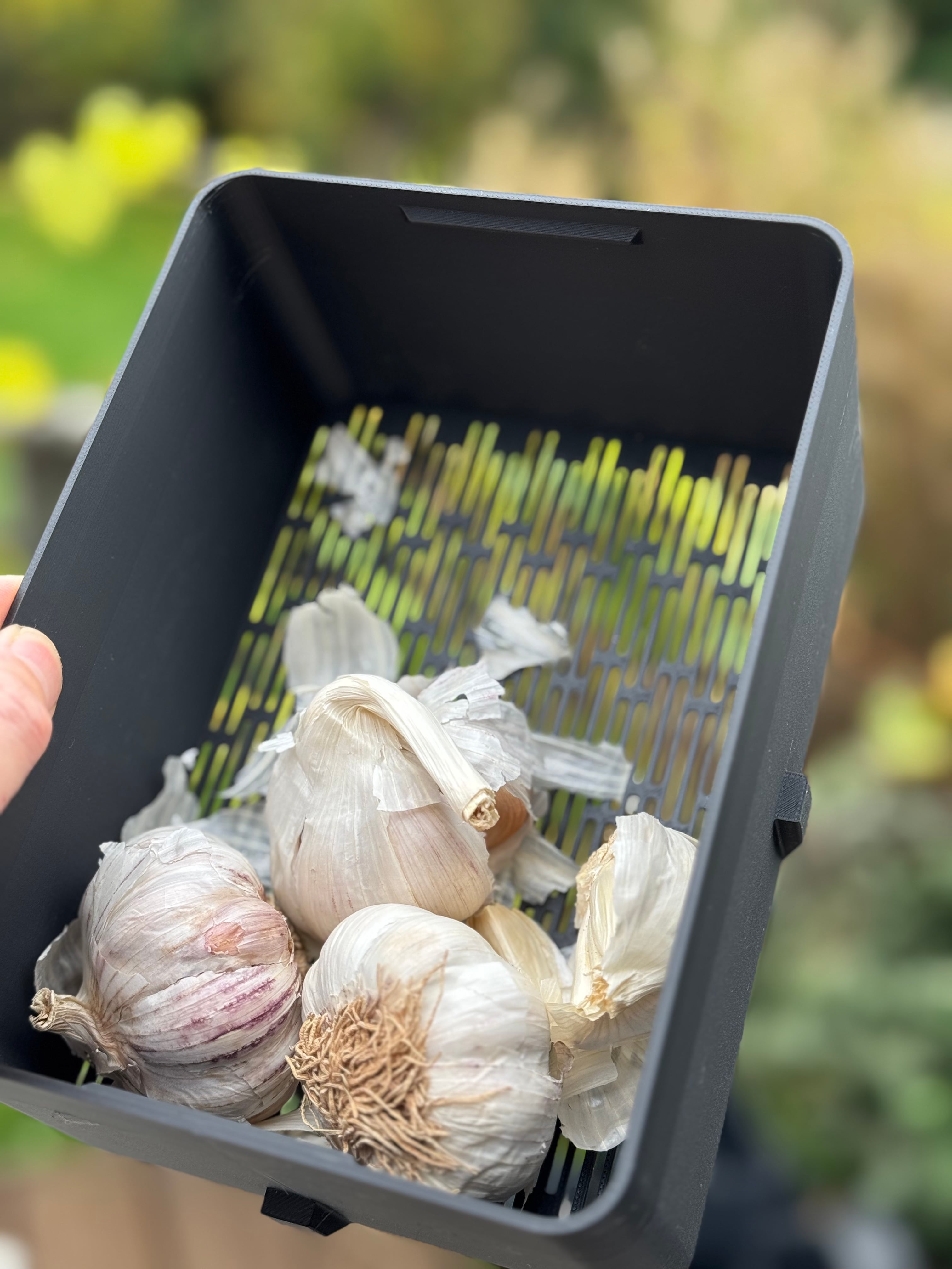 Garlic Keeper 3d model