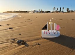 Organization-Ship 3d model