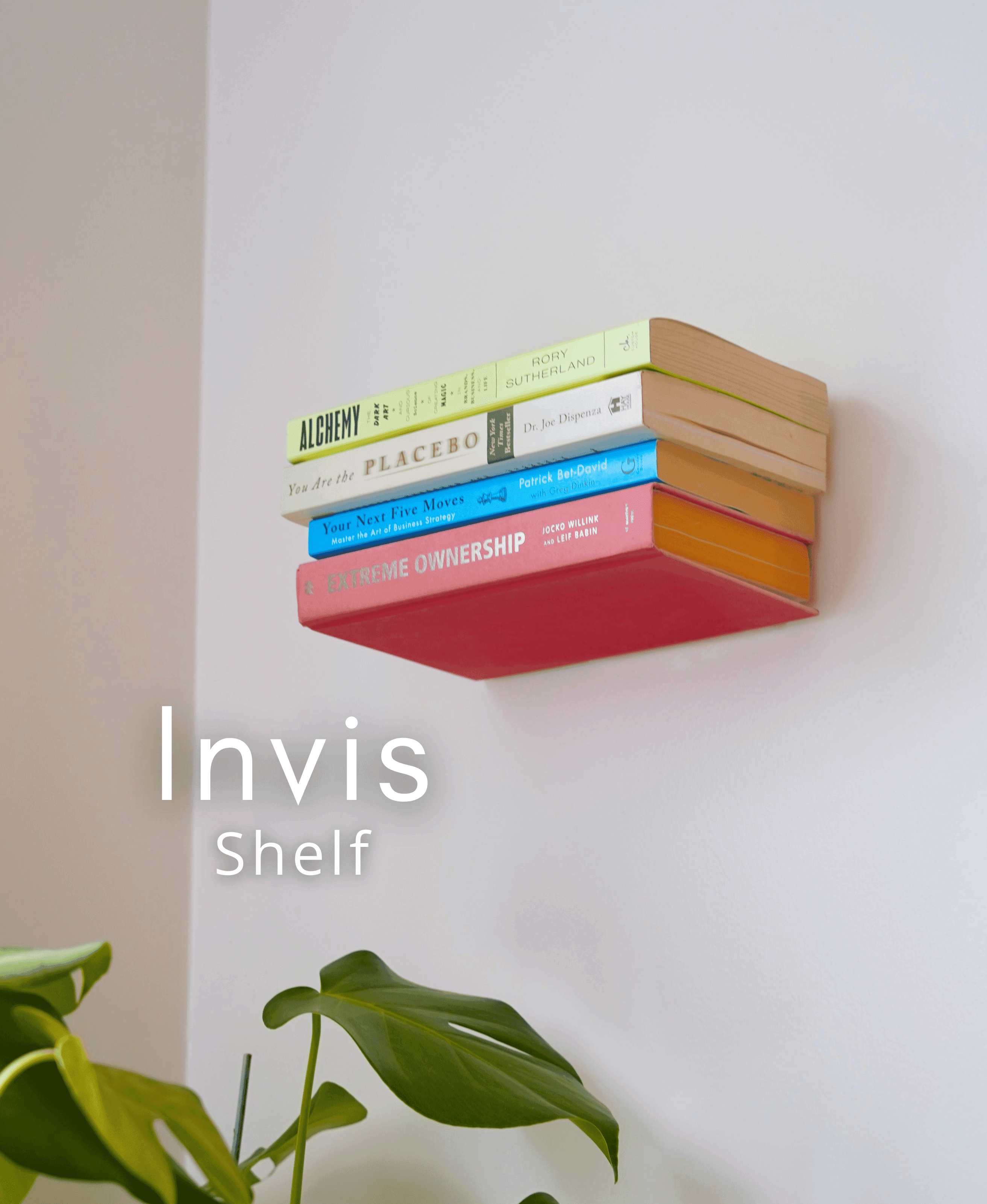 Invis Shelf 3d model