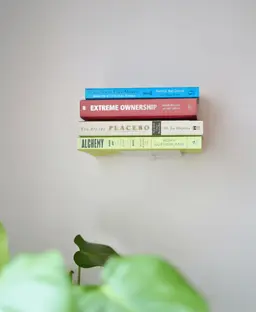 Invis Shelf 3d model