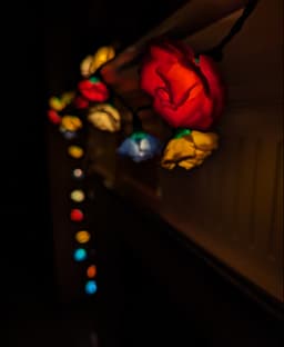 Rose Lights - clip on fairy light covers 3d model