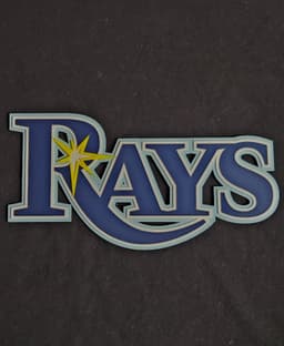 Tampa Bay Rays 3d model