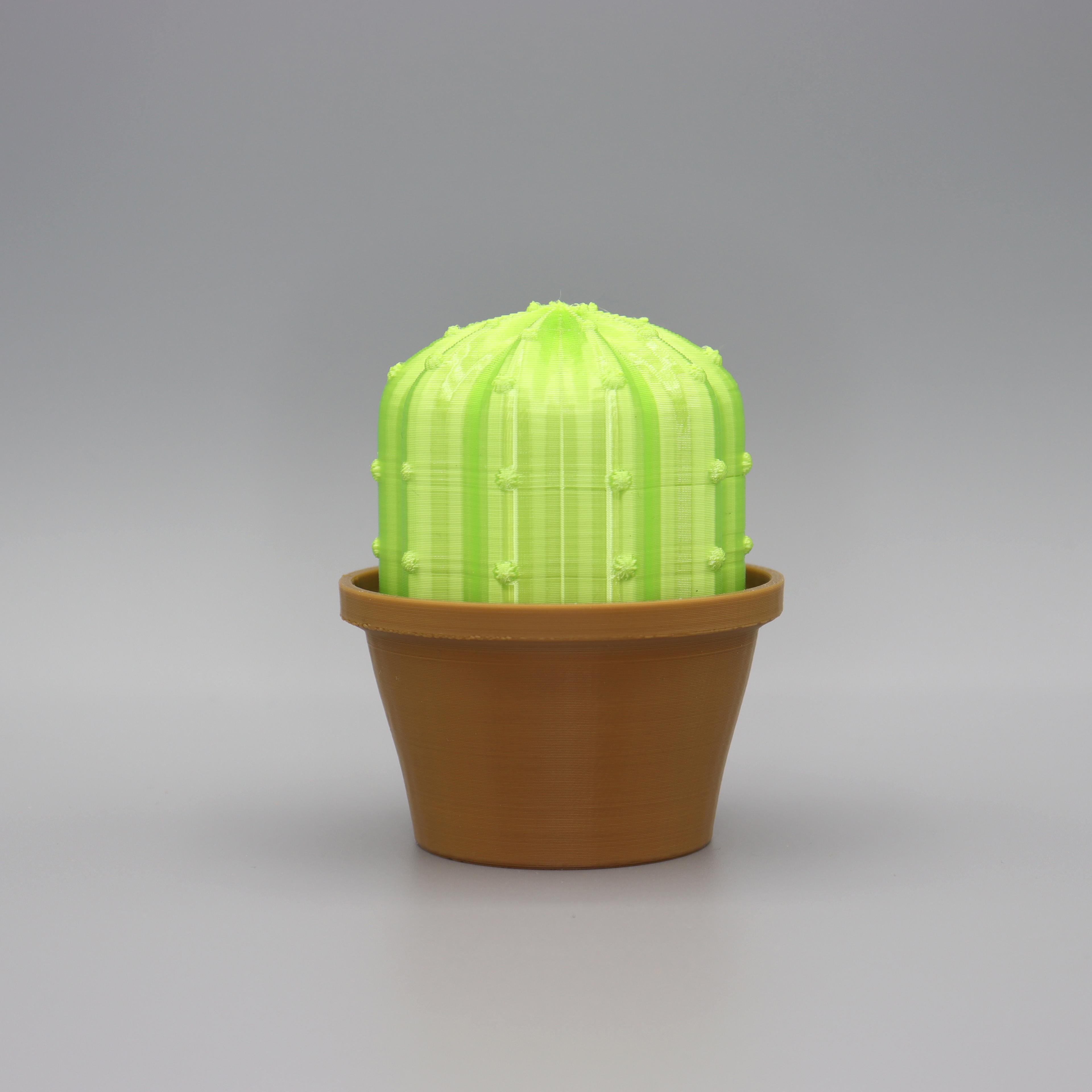 Cacti Decor 3d model