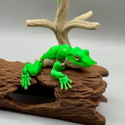Articulated Tree Frog | Pre-Painted + Optional 8mm Glass Eye Version 3d model