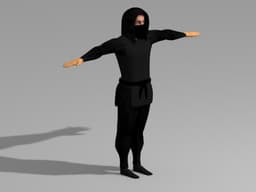 Ninja Rigged v1 3d model