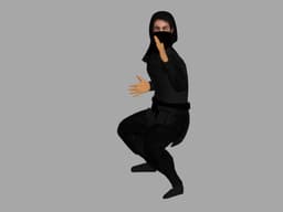 Ninja Rigged v1 3d model