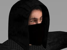 Ninja Rigged v1 3d model