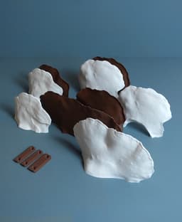 Mushroom shelf "Ganoderma Applanatum" 3d model