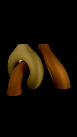 Interlocking Toroidal Vases: Smooth version 3d model