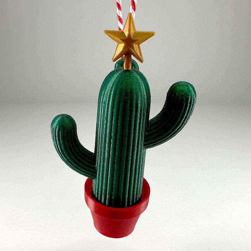 Cactus Ornament Gift Card Holder 3d model