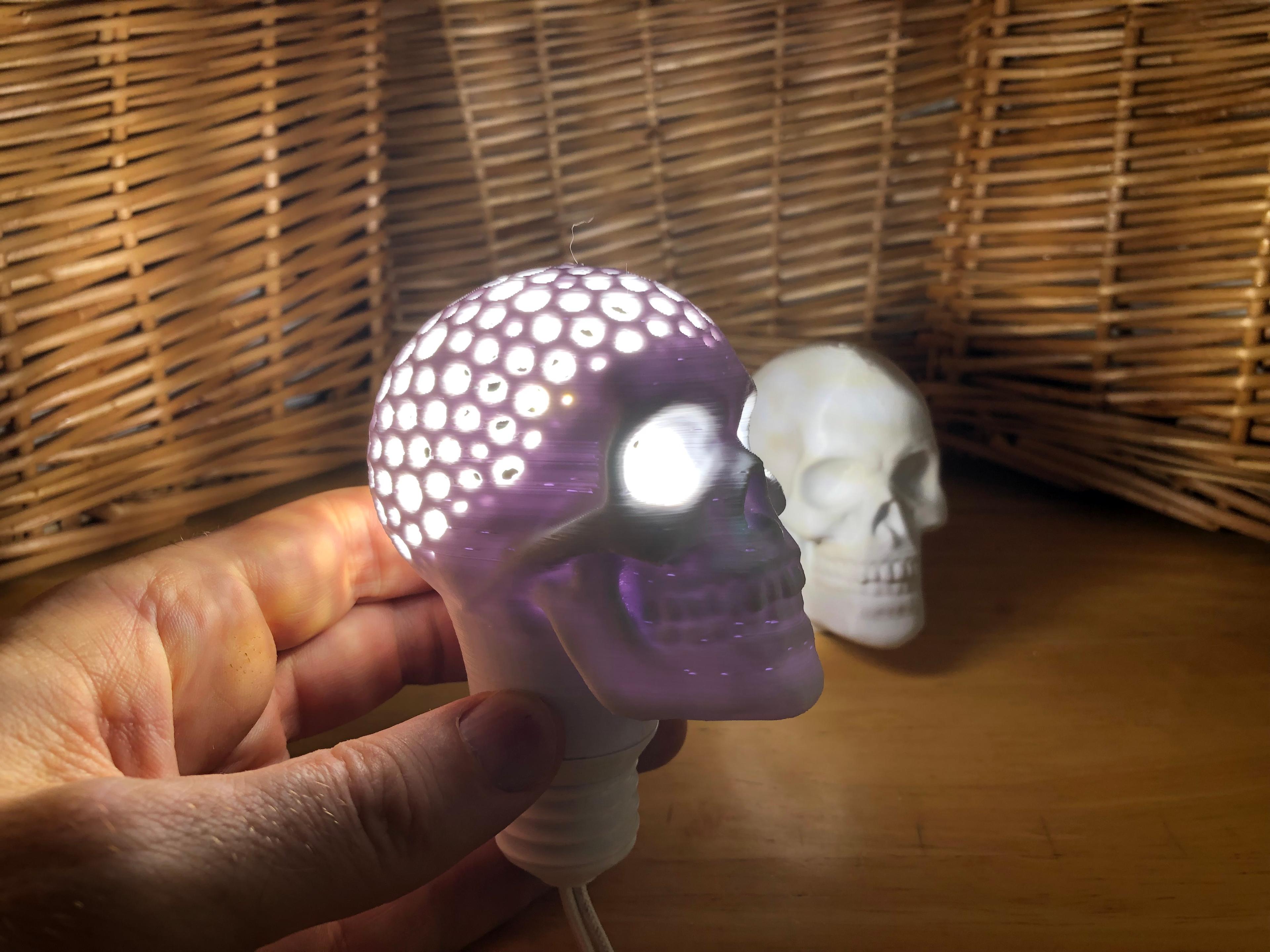 Skull Bulb (Voronoi) 3d model