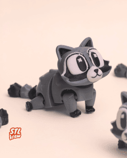 Cute articulated Raccoon - Rookie, no support 3d model