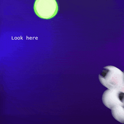 Cat Paw Pointer 3d model