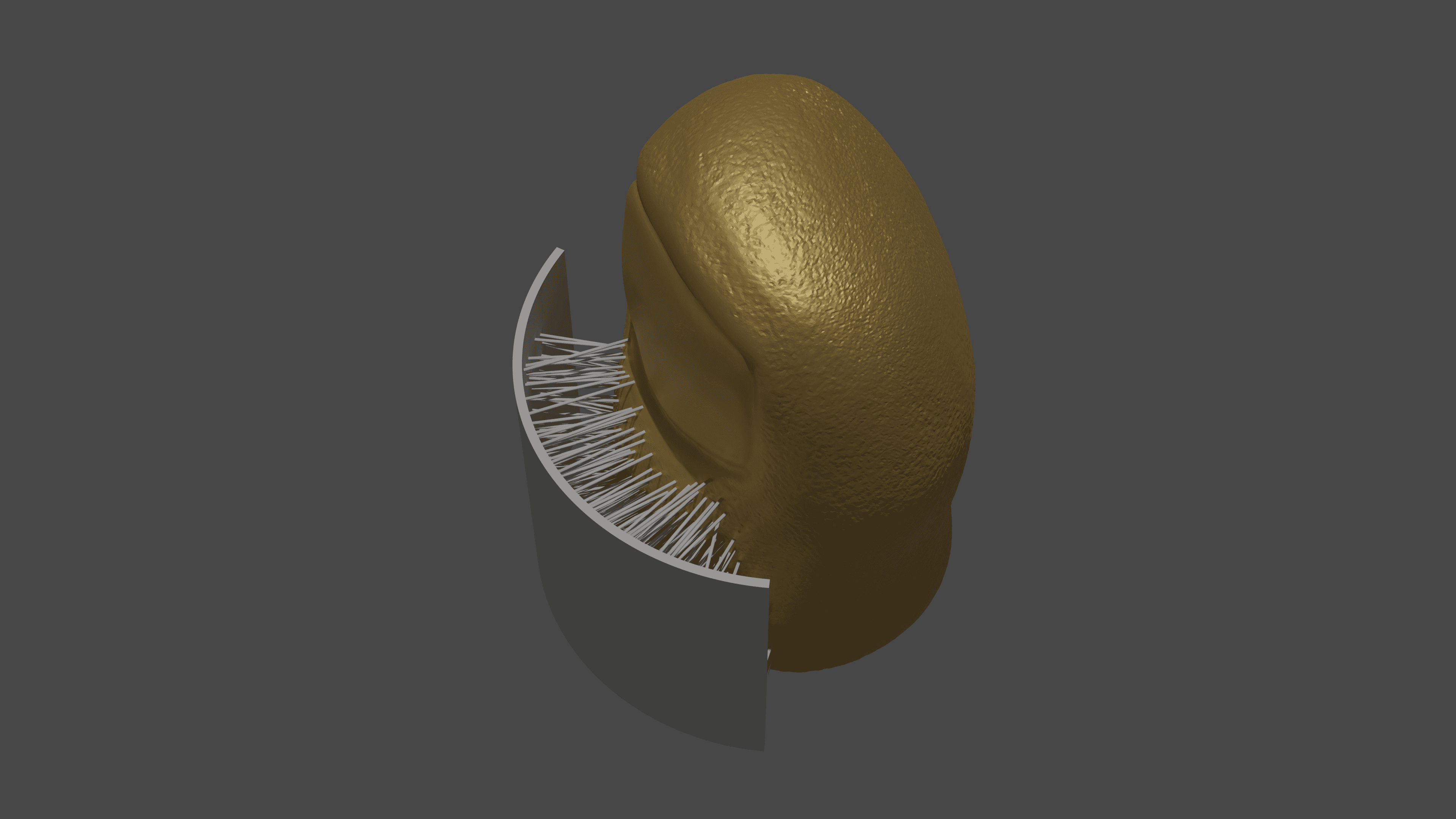 Hairy Toe - Hairify Blender - Remix of TOETOW by LayerOne3d 3d model