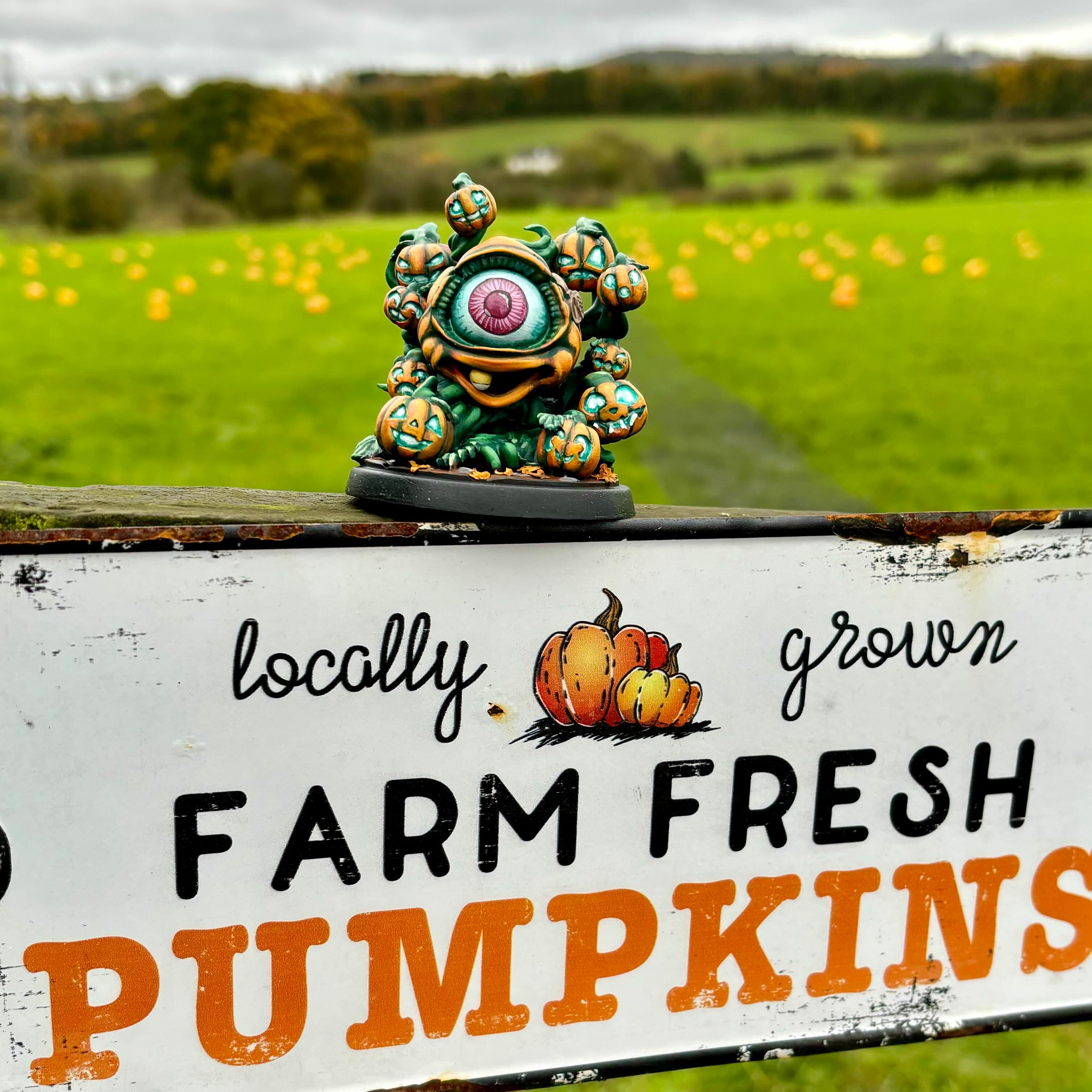 Gordy The Gourdlet
Printed on Anycubic Photon M3 Premium
Painted live on twitch.tv/mikemoans