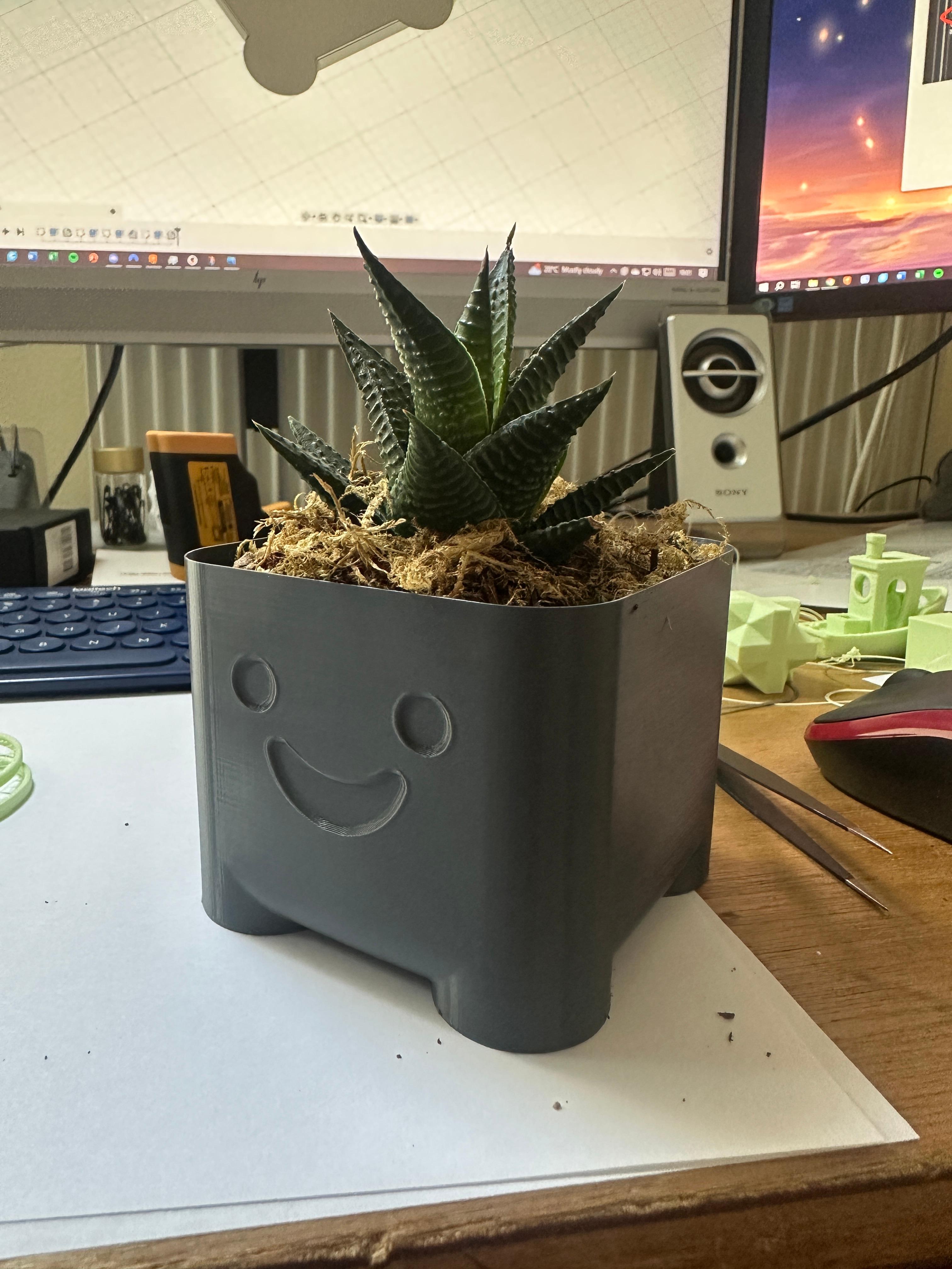 Cute Planter Tim Vase Mode 3d model