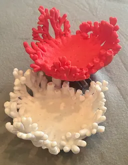 The intricate geometry of this piece made printing somewhat tricky (and perhaps filament brand dependent). The white version repeatedly failed to have adequate interlayer adhesion and the "polyps" often fractured until I raised the nozzle temperature 10 degrees and slowed the printing down. I do like the result, however. 3d model