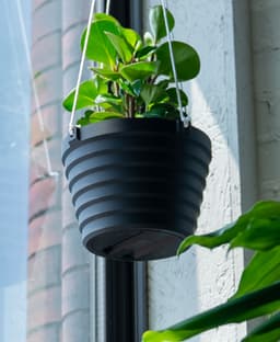 Hanging Planter - The Gio 3d model
