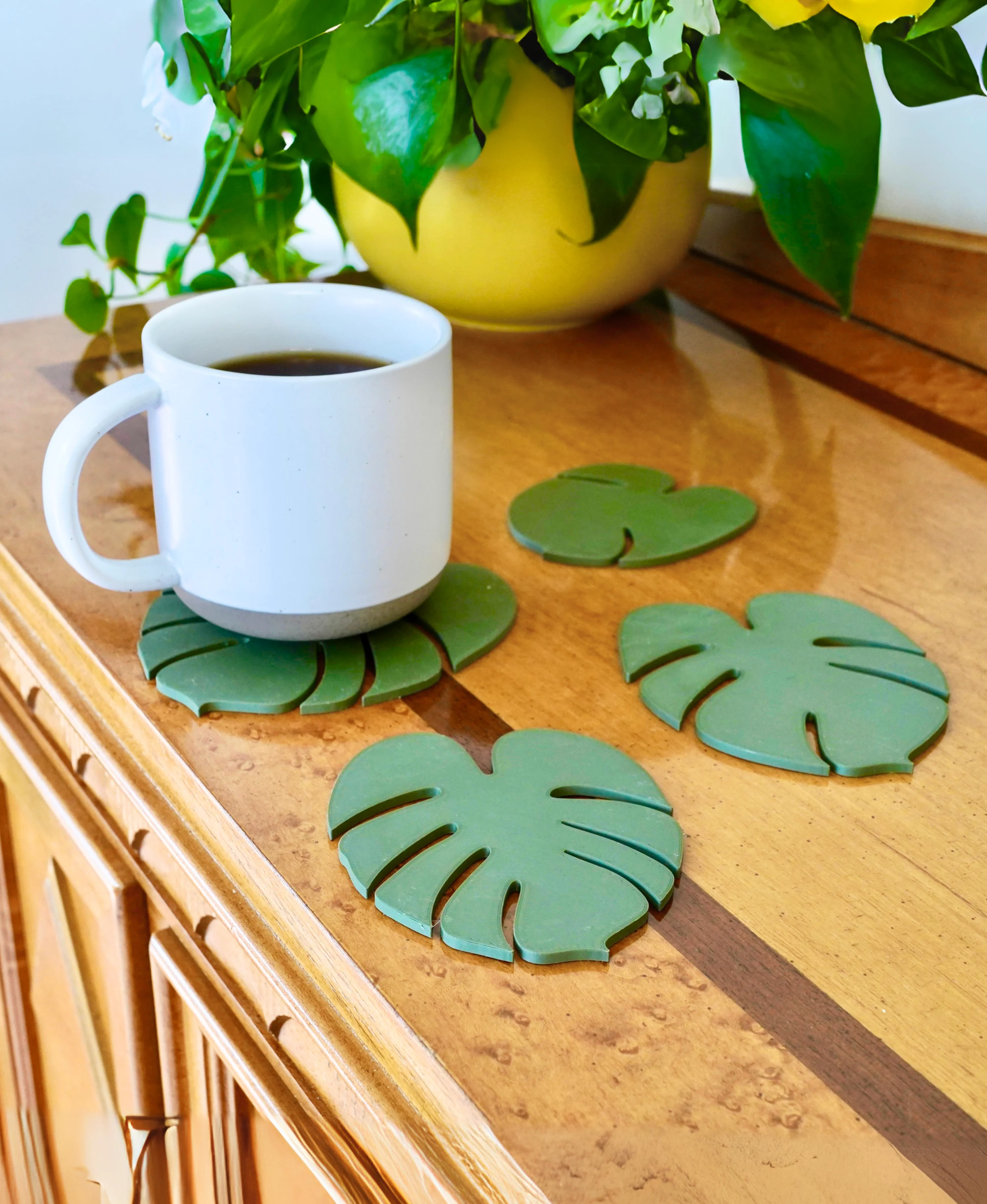 Monstera Coasters - Classic 3d model