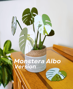 Monstera Coasters - Classic 3d model