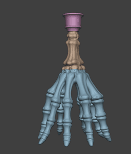 Skeleton Hand Candle Holder 3d model