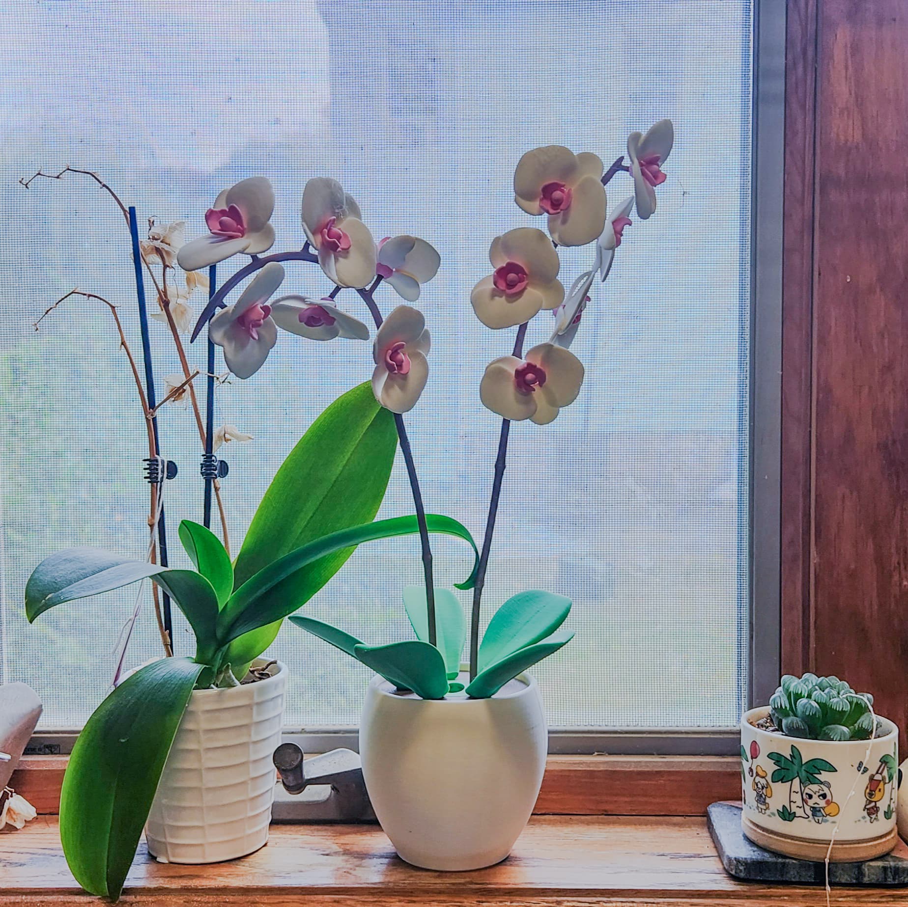 Because we didn't do very well with the real orchid on the windowsill, I thought this orchid would make a great replacement!