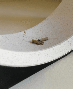 Oslo, incense holder. 3d model