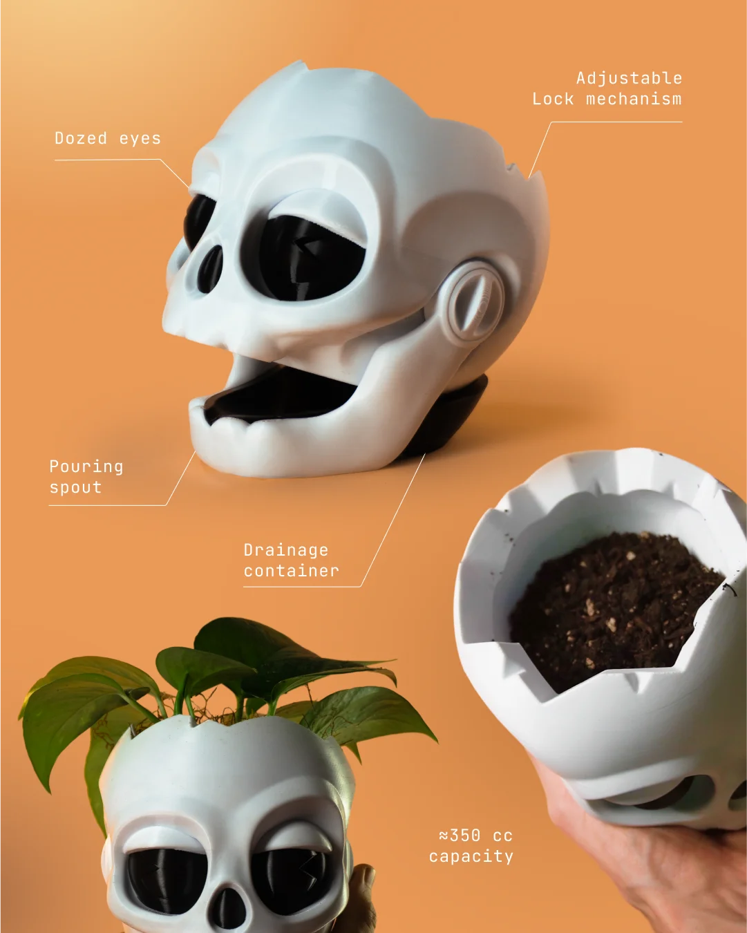 Skull planter 3d model