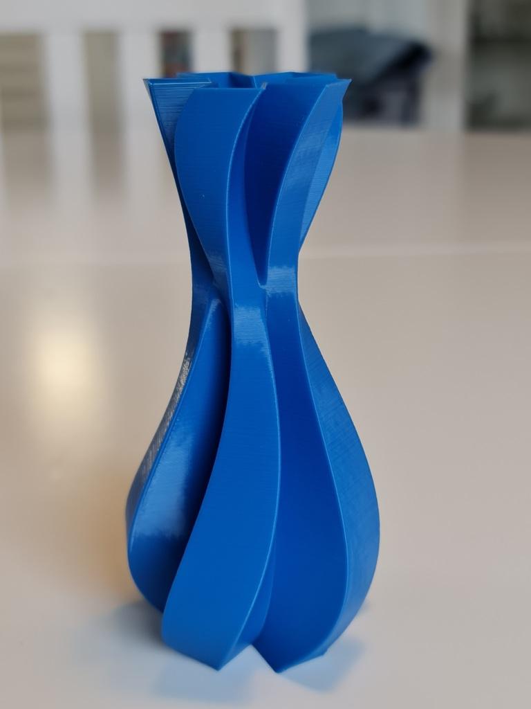 5 Sided Twist Vase 3d model