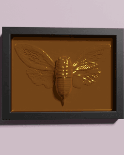 Cicada Frameable Wall ART 3d model