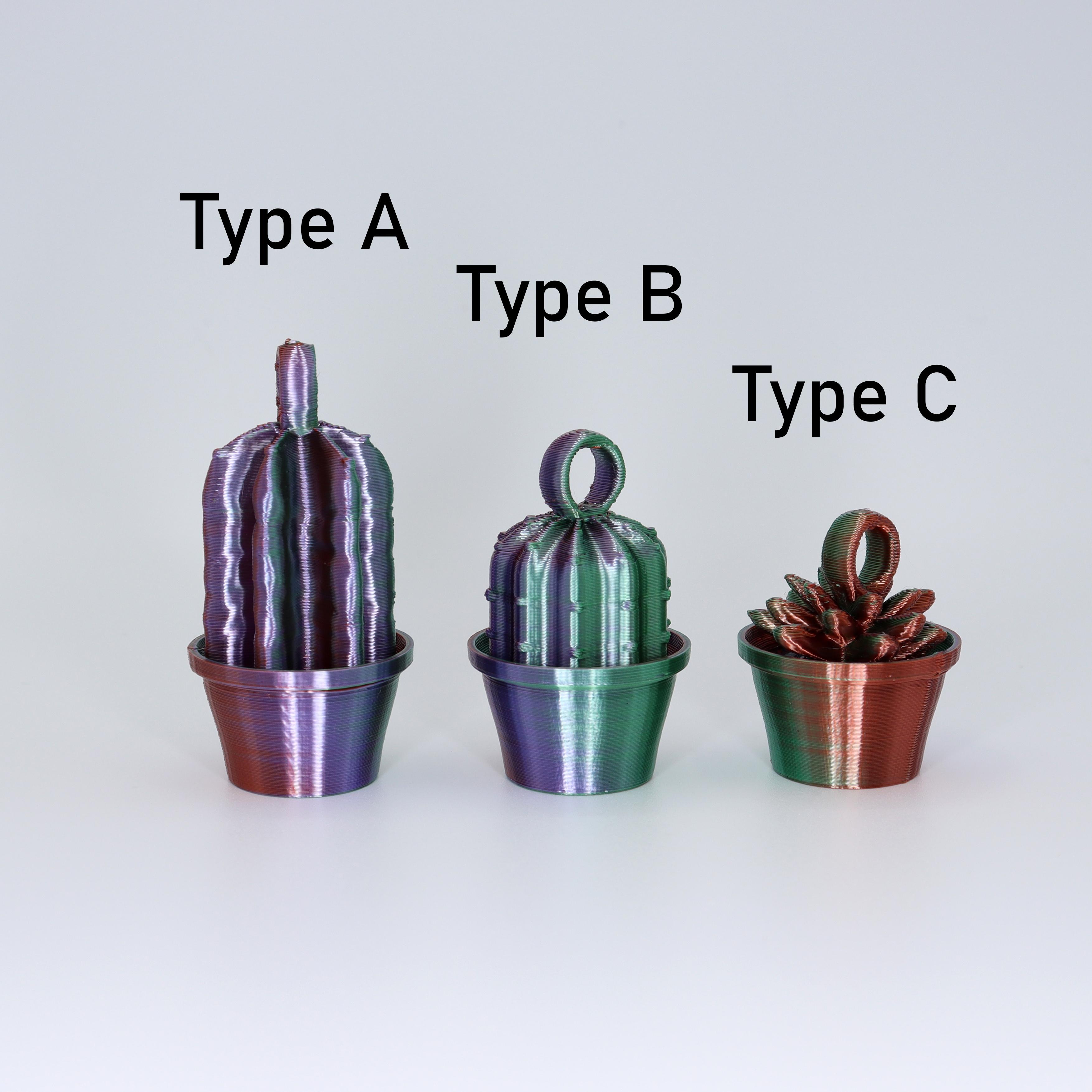 Cactus Keyrings 3d model