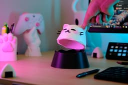Kawaii Cat Loot Box - No support 3d model