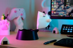 Kawaii Cat Loot Box - No support 3d model