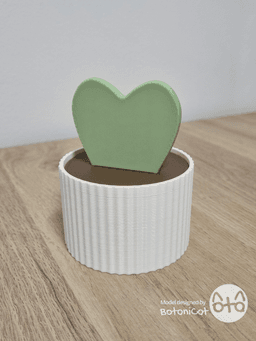 BotaniCat_Succulets_Box-Hoya Kerrii.stl 3d model